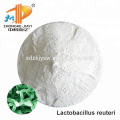 Streptococcus Thermophilus Lactobacillus Pure Probiotics Powder Benefits